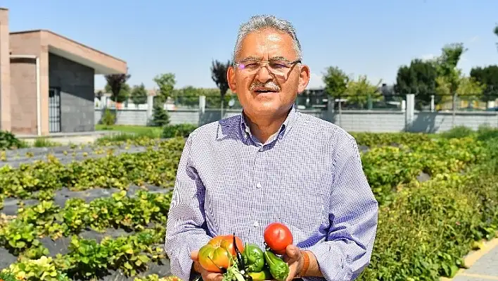 Hobi bahçelerinin kullanım hakkı ile ilgili flaş karar!