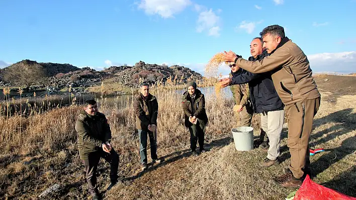 Hürmetçi Sazlığı'na yemleme çalışması yapıldı