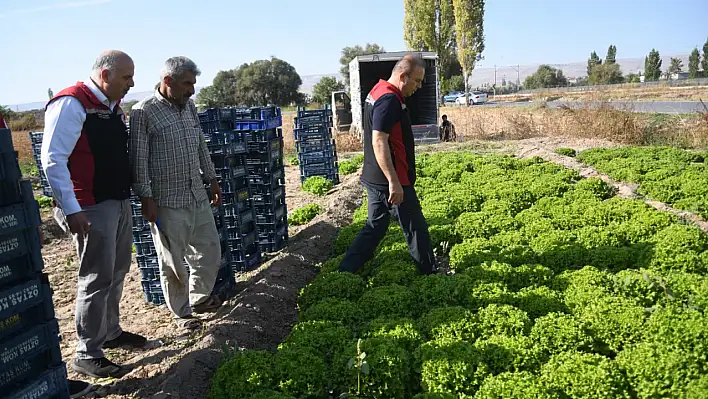 İl Müdürü sahada! Bakın bu kez nereye gitti?