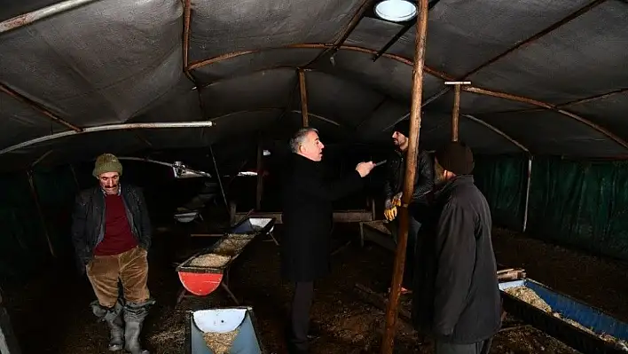 İl Tarım ve Orman Müdürü Şahin kar yağışında çöken ağıllarda incelemelerde bulundu
