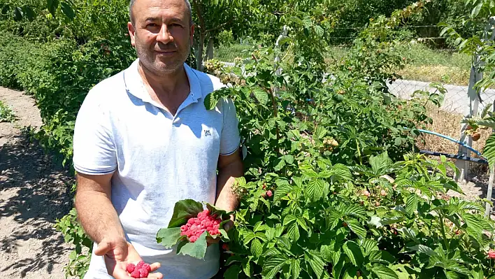 İlçede çığır açan üretim! Faydaları saymakla bitmiyor, birçok sektörde kullanılıyor