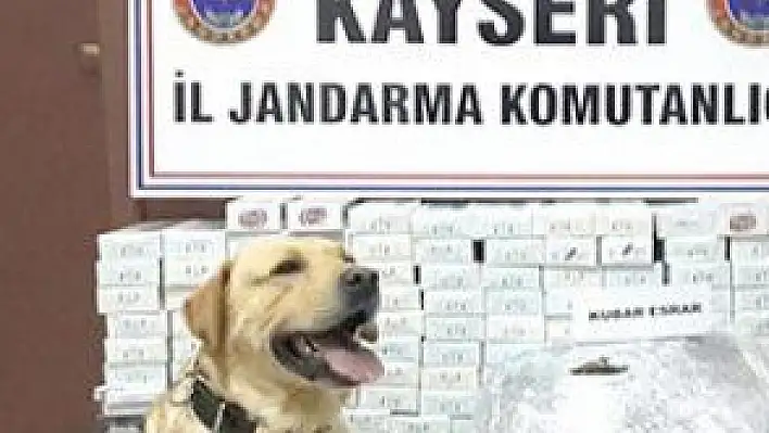 İNCESU'DA ESRAR VE KAÇAK SİGARA OPERASYONU