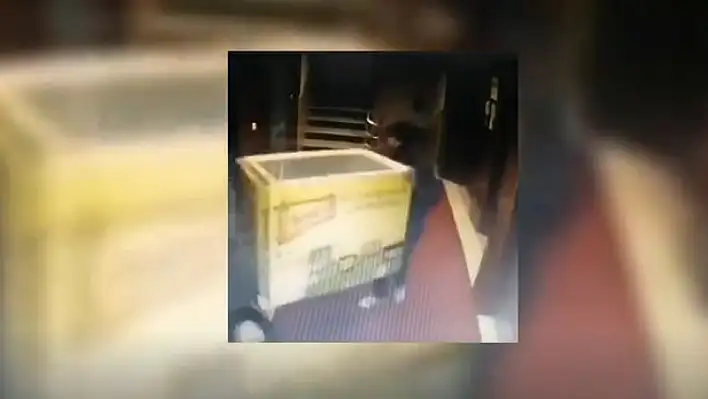 İşte Kayseri'de hırsızların derin dondurucu çaldıkları anın görüntüleri!