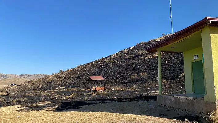 İşte Kayseri'de yaklaşık 8 hektarlık alanda çıkan yangının düşündüren nedeni!