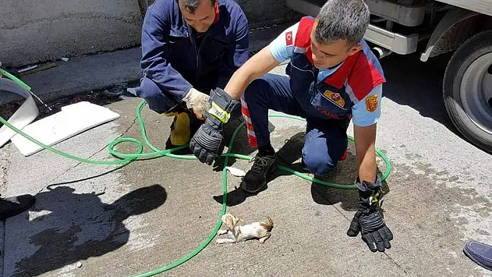 Bu kez İtfaiye kalp masajıyla hayata döndürdü!