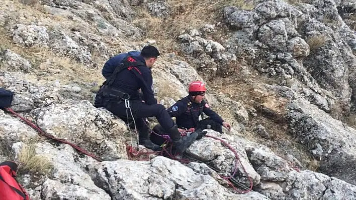 İtfaiyeden 3 saatlik keçi kurtarma operasyonu