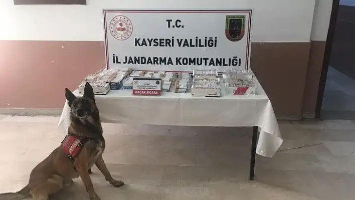 Kayıp şahıslar bulundu, aranan şahıslar yakalandı