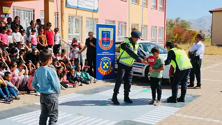 'Trafik Dedektifleri Projesi'