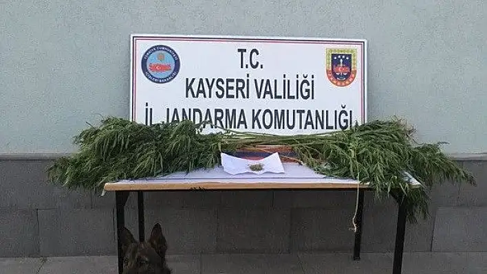 Jandarma bayramda da uyuşturucuya geçit vermedi