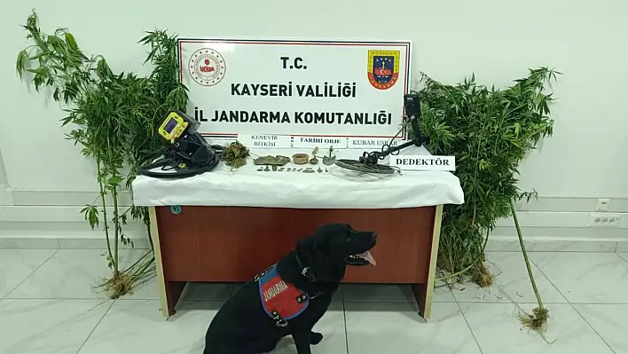 Jandarma bir eve baskın düzenledi: Evden çıkanlar görenleri hayrete düşürdü!