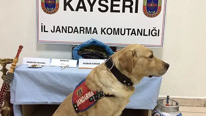 Jandarma'dan iki operasyon