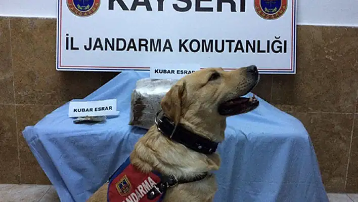 Jandarma'dan kaçamadılar