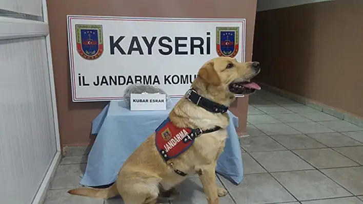 Jandarma'dan uyuşturucu operasyonu