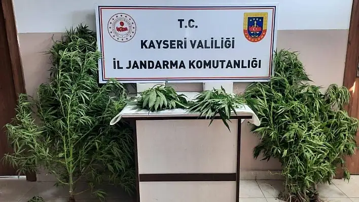 Kayseri'de uyuşturucuya geçit yok!