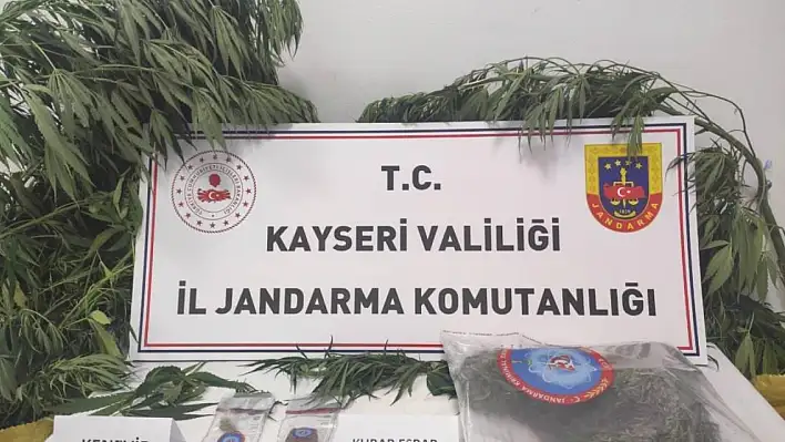 Jandarmadan operasyon: Kenevir ve esrar ele geçirildi