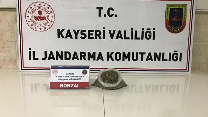 Jandarmadan uyuşturucu operasyonu