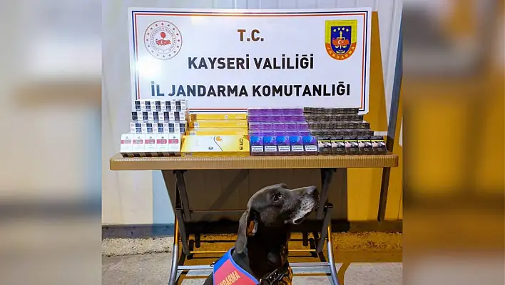 Jandarmanın 'dedektif köpeği' iş başında!