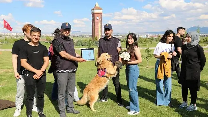 Kahraman köpekler büyük beğeni topladı