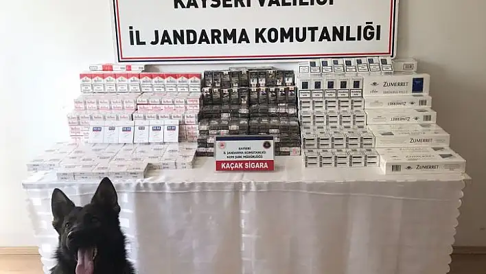 Kaçak sigara operasyonu