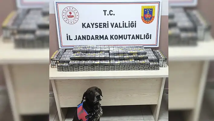 Kaçakçılar Kayseri - Malatya yolunda köpeğe takıldı!
