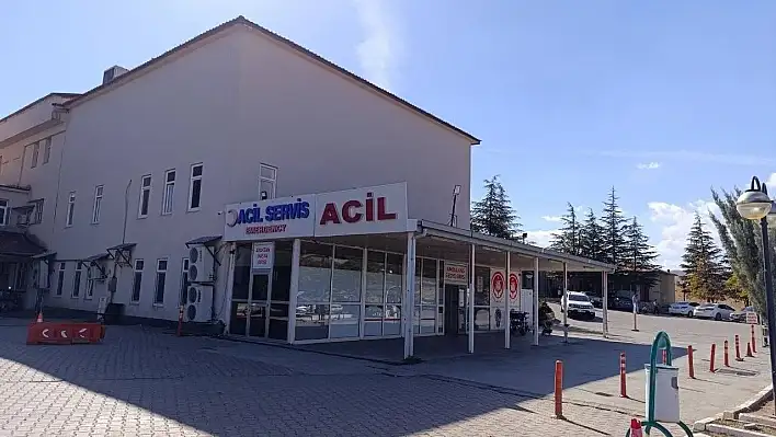 Arının soktuğu çocuk hayatını kaybetti!