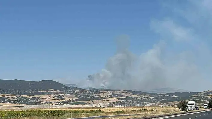 Kahramanmaraş'ta ikinci orman yangını