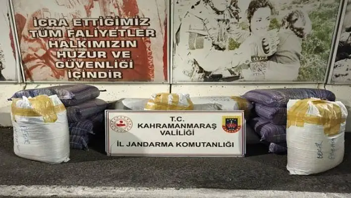 Jandarmadan operasyon: 57 Gözaltı