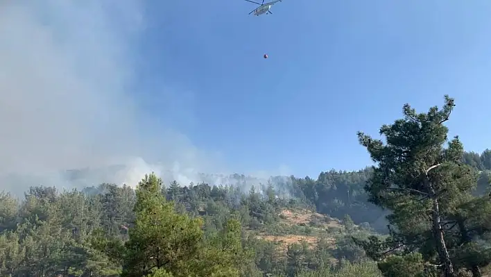 Kahramanmaraş'ta orman yangınına müdahale sürüyor