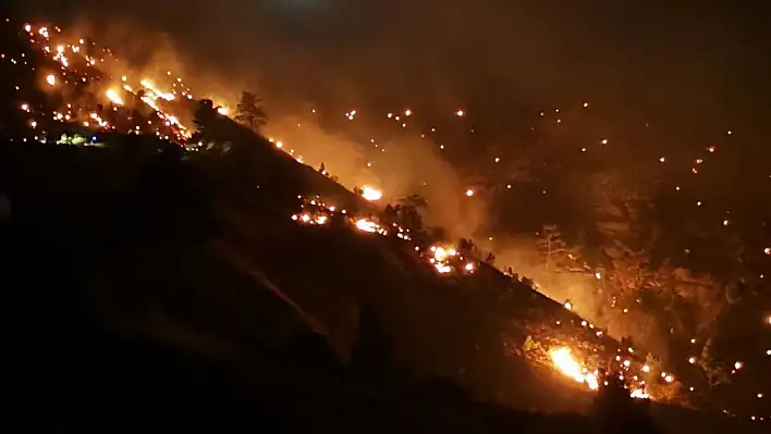 Kahramanmaraş'ta orman yangınına müdahale sürüyor