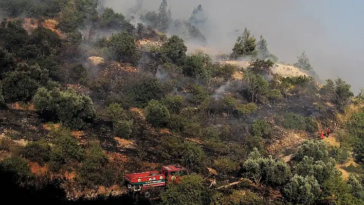 Kahramanmaraş'ta orman yangını kontrol altına alındı