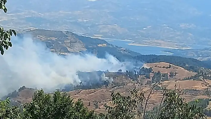 Kahramanmaraş'ta orman yangını