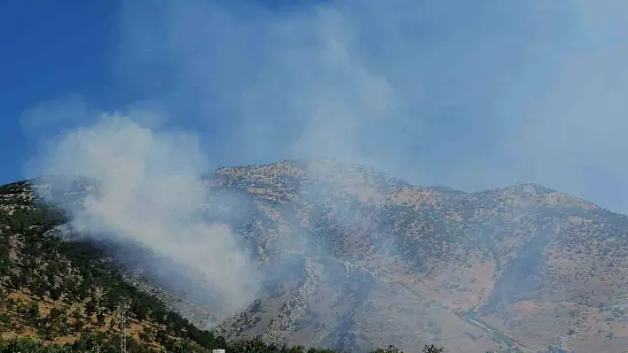 Orman yangını