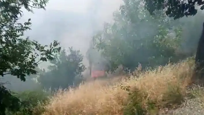 Orman yangını büyümeden söndürüldü
