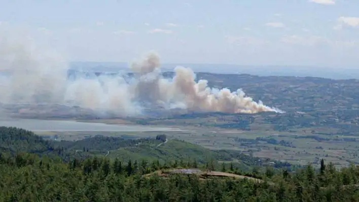 Kahramanmaraş'ta orman yangını