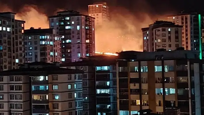 Otluk alanda yangın