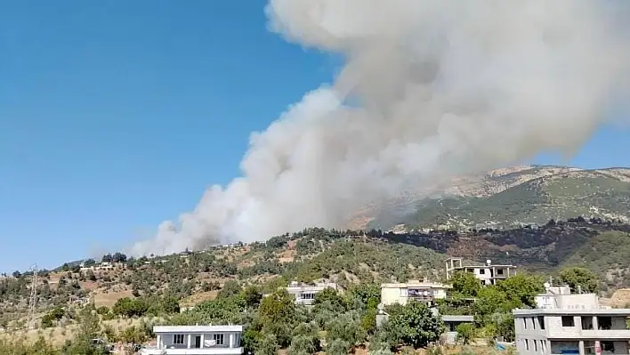 Kahramanmaraş'taki orman yangınına müdahale sürüyor