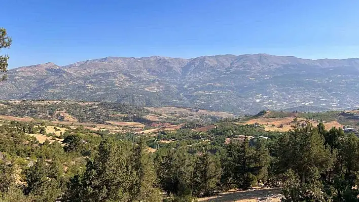 Kahramanmaraş'taki orman yangını söndürüldü