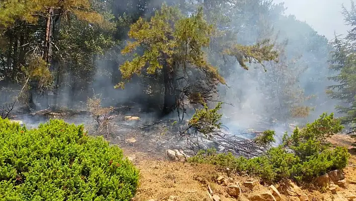 Kahramanmaraş'taki orman yangını iki noktada devam ediyor