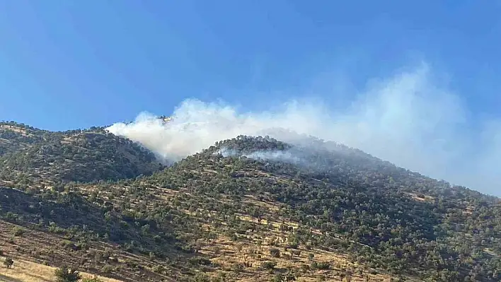 Kahramanmaraş'taki orman yangınına müdahale sürüyor