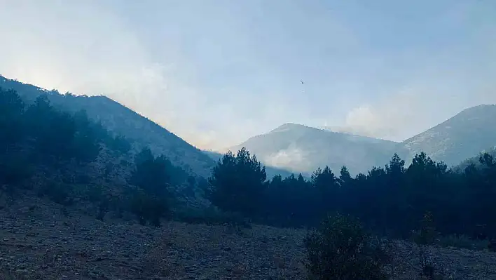 Kahramanmaraş'taki orman yangını kontrol altına alındı