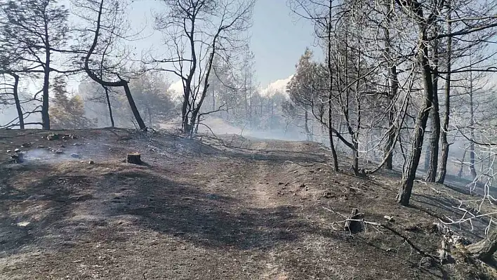 Kahramanmaraş'taki orman yangını büyük ölçüde kontrol altına alındı