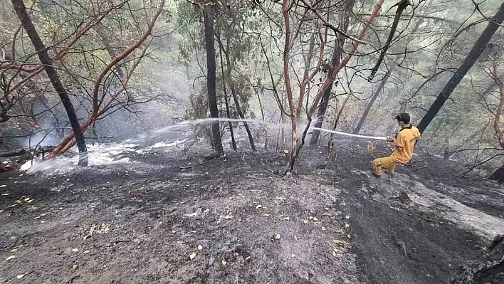 Kahramanmaraş'taki orman yangını kontrol altına alındı