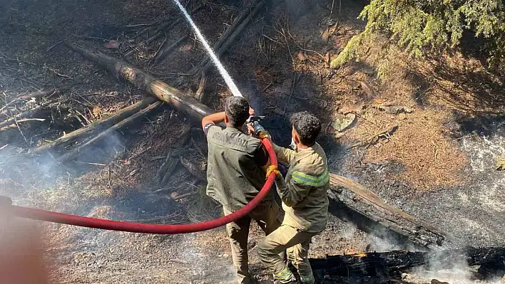 Orman yangınına müdahale sürüyor