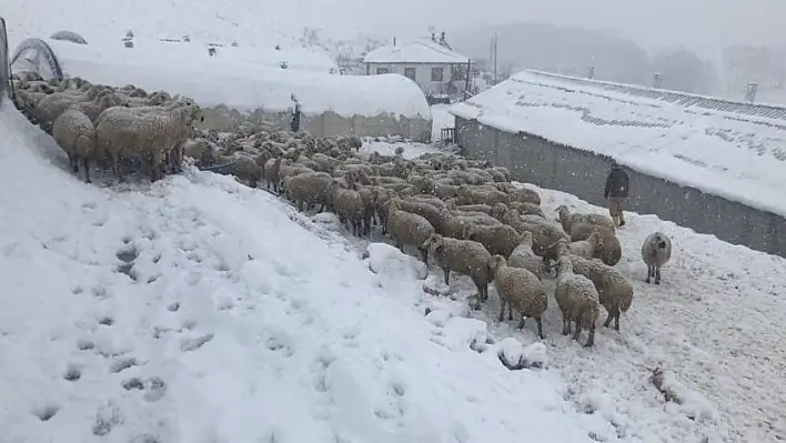 Kar yağışı hayatı olumsuz etkiledi