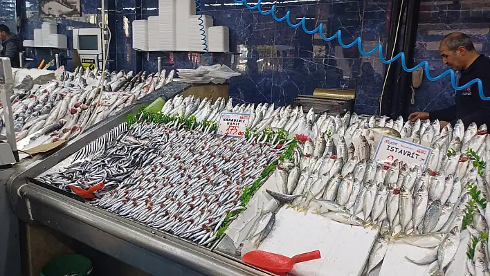 Karadeniz'in bereketi Kayseri'de... Hamsi fiyatları 100 TL'den başlıyor