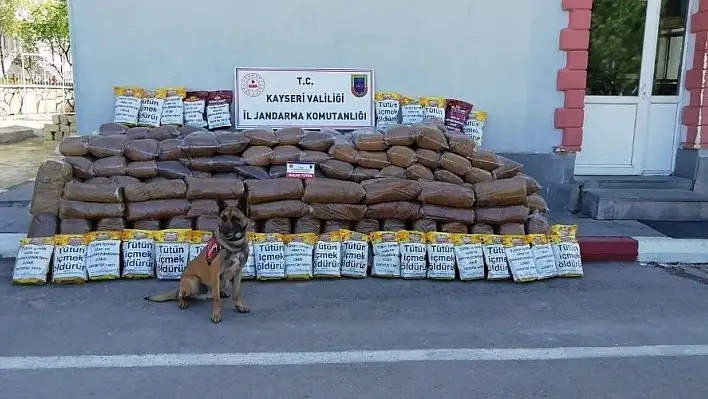 Karga aracında 2 ton 250 kilo kaçak sarmalık kıyılmış tütün ele geçirildi