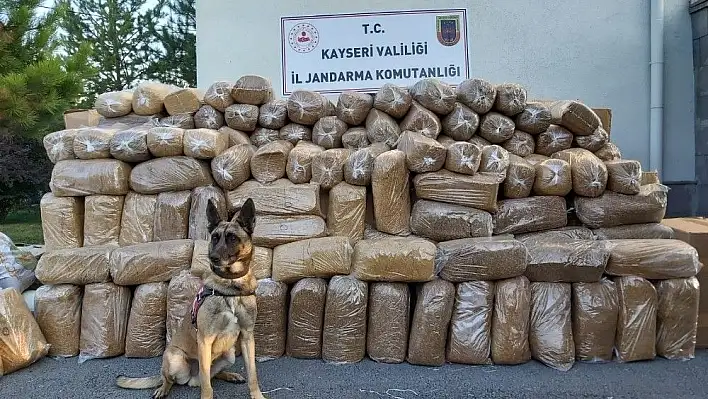 Kargo aracında 6 ton 280 kilogram ele geçirildi