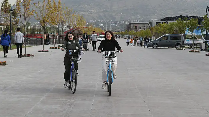 Kaybis 2025 sezonu rekorla kapattı