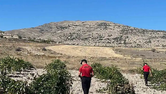 İncesu'da kaybolan küçükbaş hayvanlar bakın nasıl bulundu?