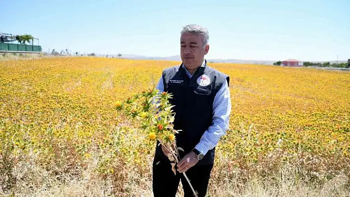 Kayseri aspir atağı!